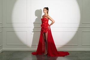 Roselle Embroidered Gown