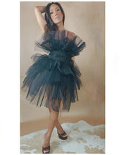 Load image into Gallery viewer, Swan tulle dress