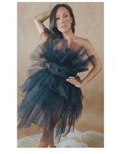 Load image into Gallery viewer, Swan tulle dress